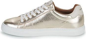 Galaxie, Champagne