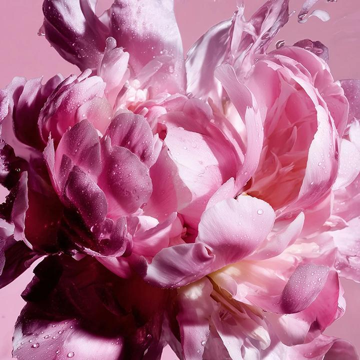 Immagine prodotto Viktor & Rolf Flowerbomb Pretty Peony (Eau de parfum, 50 ml)