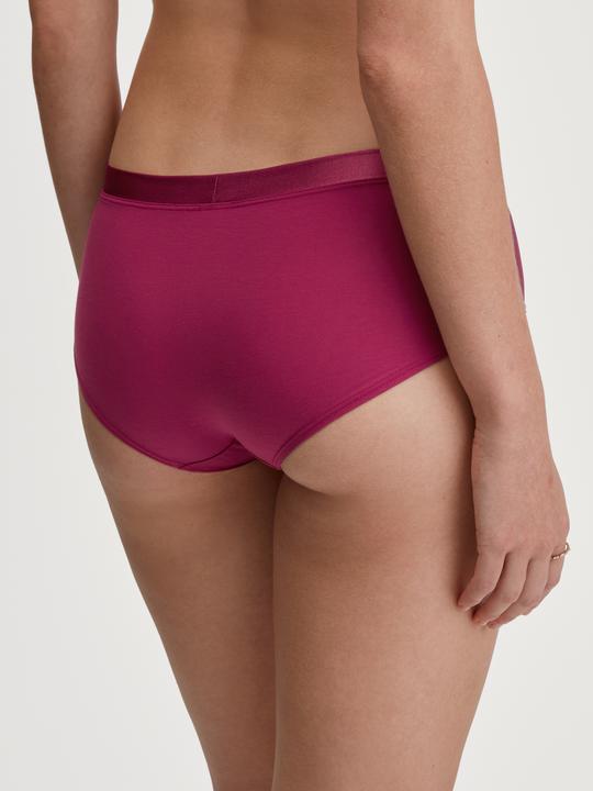 Image du produit Calida Cate Panty (L, Une unité par pack)
