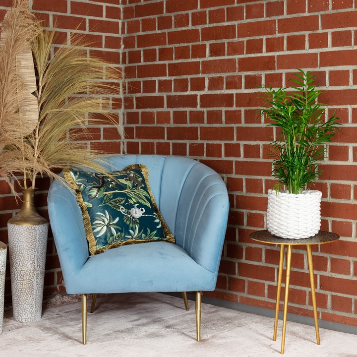 Actual product image Flowerbox Mountain palm - Chamaedorea elegans (55 cm)