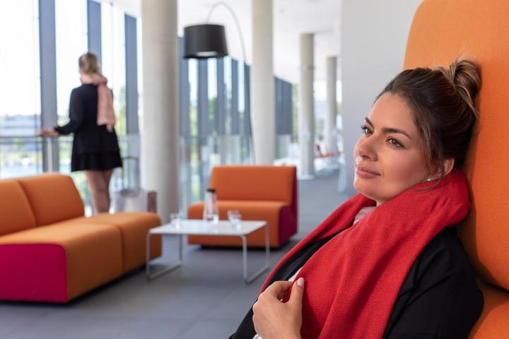 Immagine prodotto eja Travel Schal Sciarpa da viaggio con paradenti (Serrature e rimorchi)