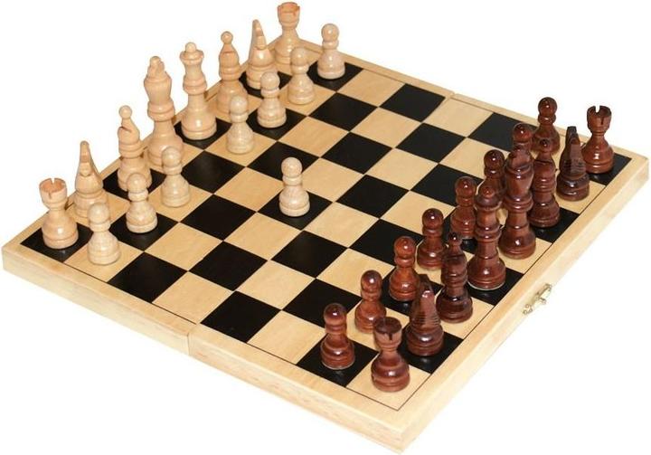 Actual product image Brio Skak