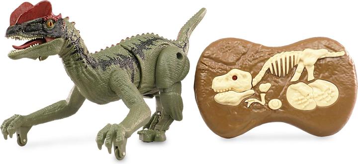 Image du produit Amewi Allosaurus RC Dinosaur 21cm, RTR Avec son & lumière