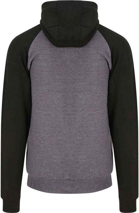 Immagine prodotto Awdis Just Hoods Felpa Due Colori con Cappuccio Uomo (M)