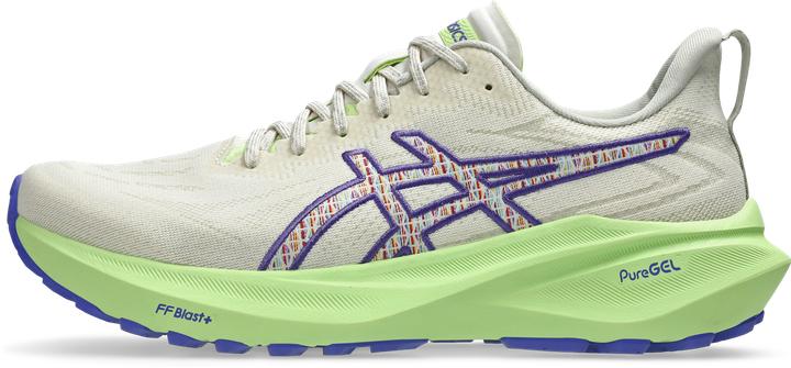 Produktbild ASICS Performance GT-2000 13 TR (40.5)