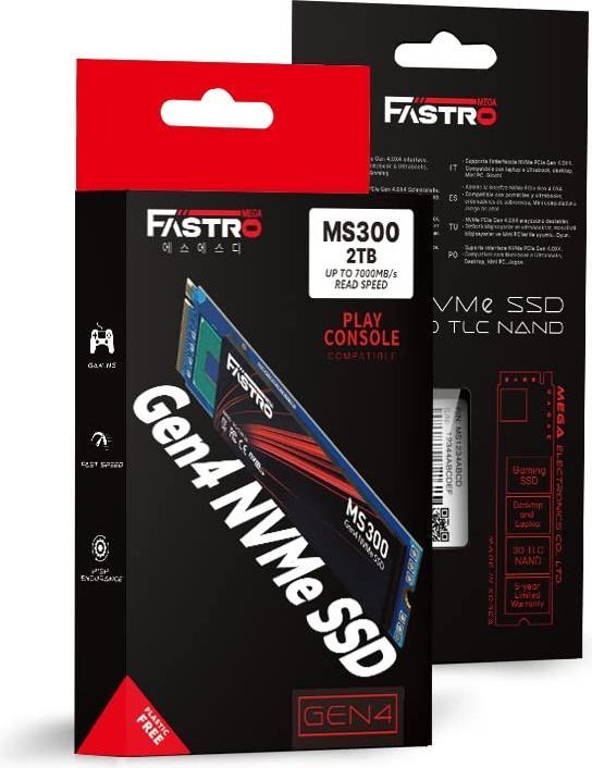 Image du produit Fastro MegaFastro SSD 2TB série MS300 PCI-Express NVMe interne (2000 Go, M.2 2280)