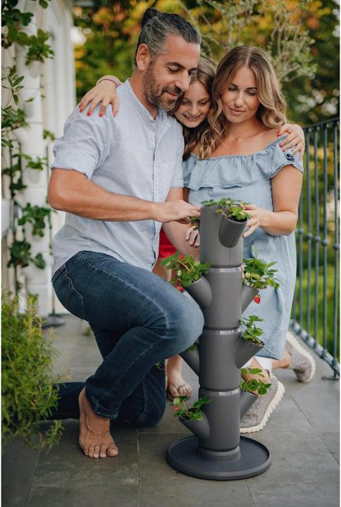 Actual product image Gusta Garden Sissi Strawnerry (27 cm)
