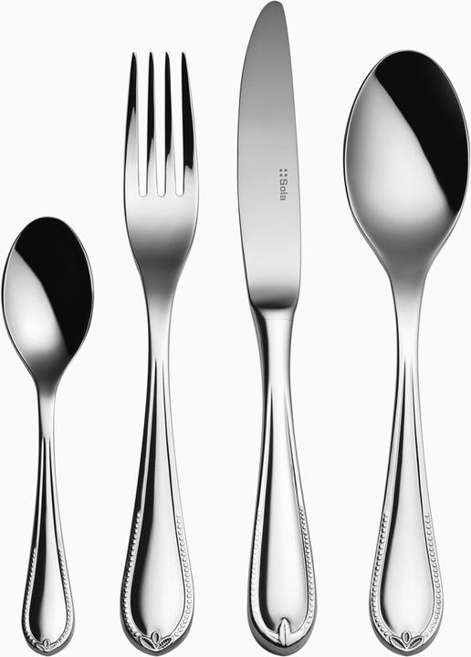 Image du produit Sola Perle noire (1 pcs, Cuillère)