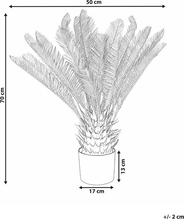 Produktbild Beliani Areca Palm Tree (70 cm)
