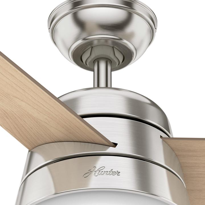 Actual product image Hunter Fans Finley (46 dB)