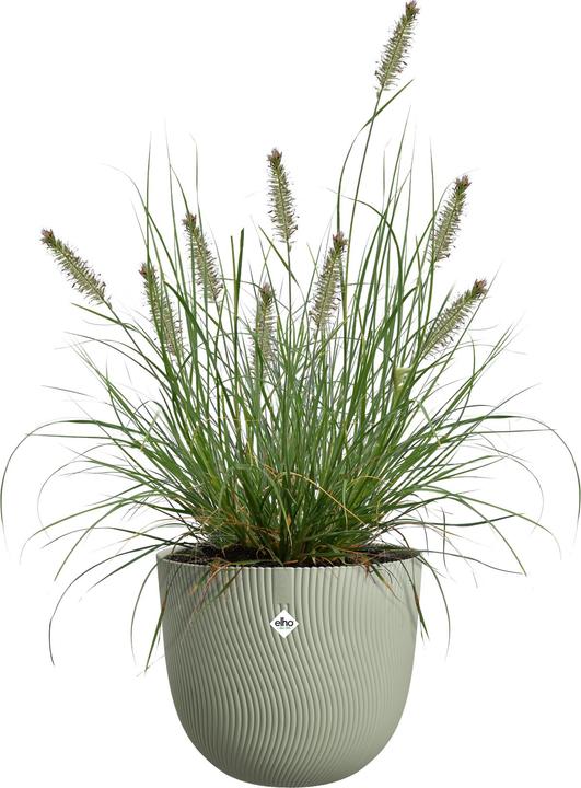 Produktbild Elho Pflanzentopf Sereh Rund 25 cm Grün (25 x 21 cm)