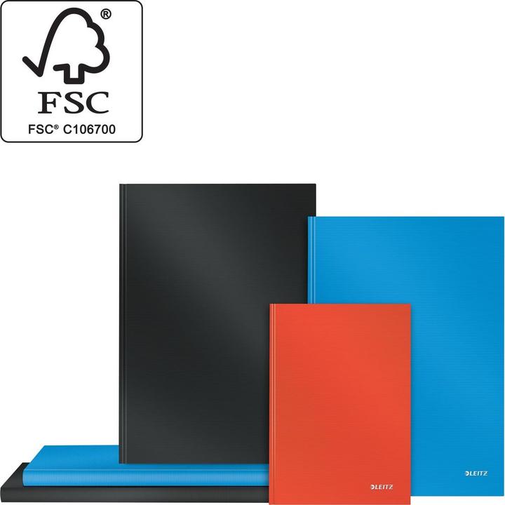 Image du produit Leitz Solid (A4, À rayures, Couverture rigide)