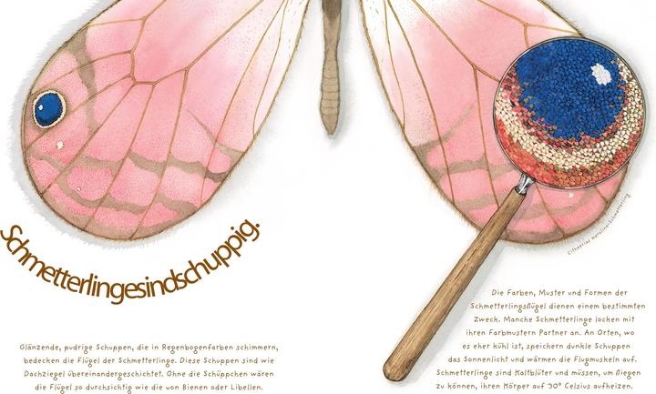 Produktbild Das wundersame Leben der Schmetterlinge (Deutsch, Dianna Hutts Aston, 2017)