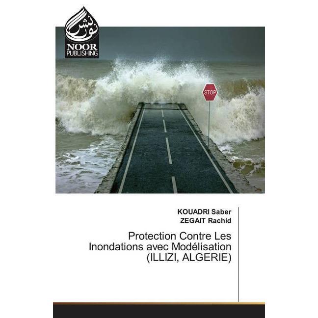Protection Contre Les Inondations avec Modélisation (ILLIZI, ALGERIE), Fachbücher von ZEGAIT Rachid, KOUADRI Saber