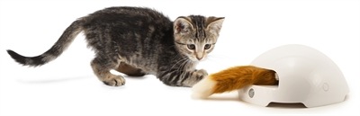 PetSafe Jouet casse-tête terrier du renard automatique pour chats FroliCat®