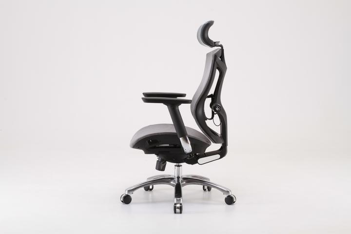 Immagine prodotto Sihoo V1 Ergonomic Office Chair, gray