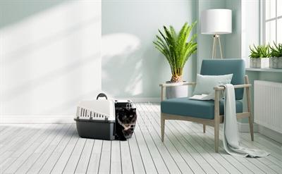 Produktbild Savic Plastic Reismand Trotter 2 Antraciet/Lichtgrijs (Katze)