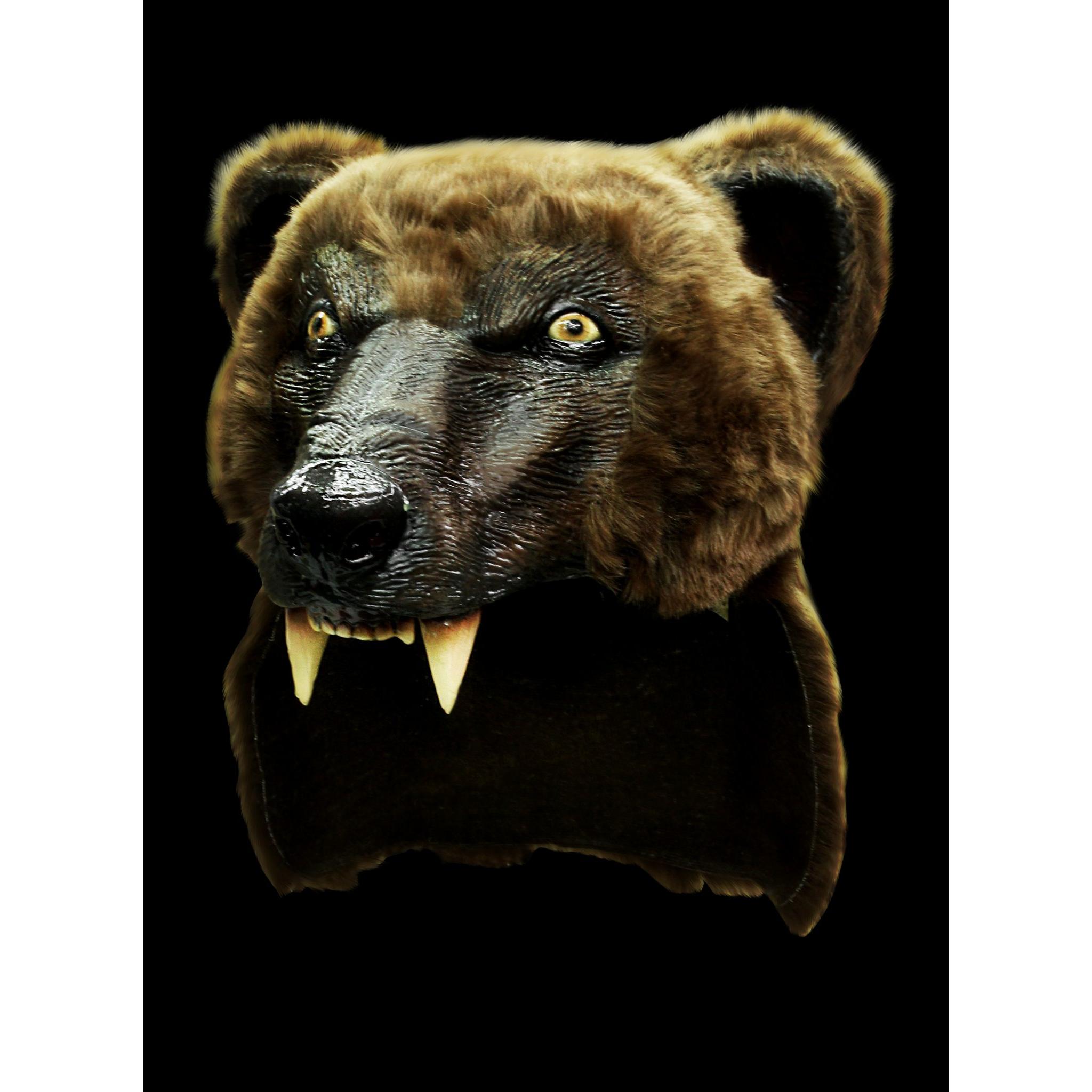 Ghoulish Braunbär