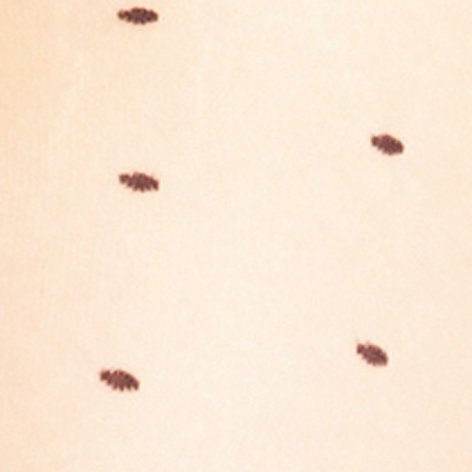 Produktbild Falke Dot TI (15 DEN, 40 - 42)