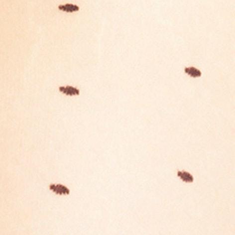 Image du produit Falke Dot TI (15 DEN, 48 - 50)