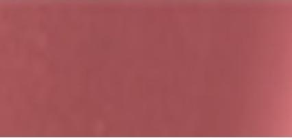 Immagine prodotto Pupa Milano Fatto per durare Duo labbra Rosa Vintage (010 Rosa Vintage)