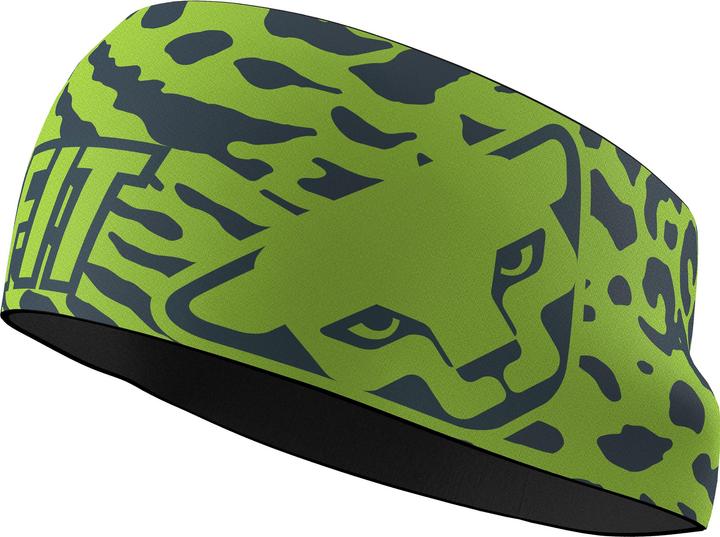 Actual product image Dynafit Graphic Performance Stirnband