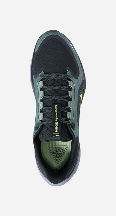 Produktbild Nike Pegasus 41 GORE-TEX (43)
