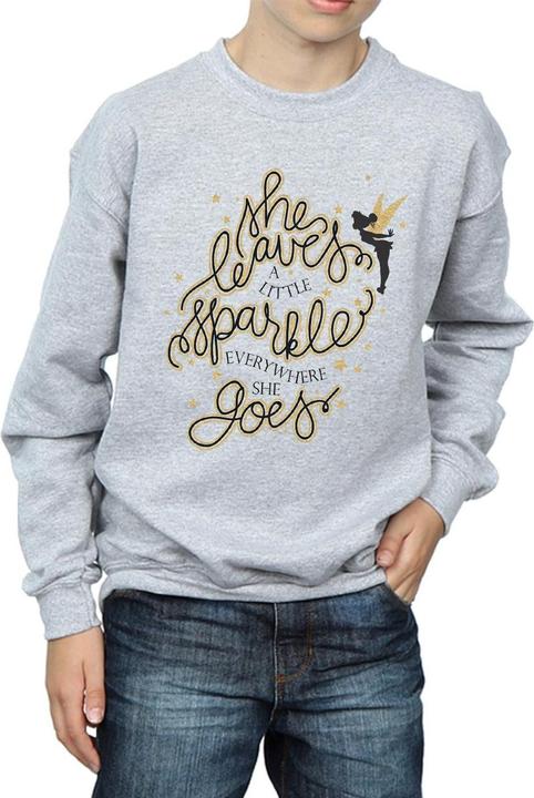 Image du produit Disney - Sweat TINKERBELL STARS - Garçon (128)