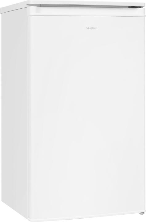Exquisit EXQ KS 117-3-040 E Refrigerator (81 l)