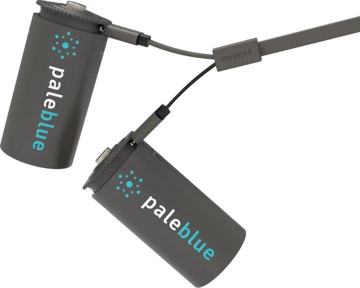 Actual product image Pale Blue Battery C (2 pcs., C, 2800 mAh)