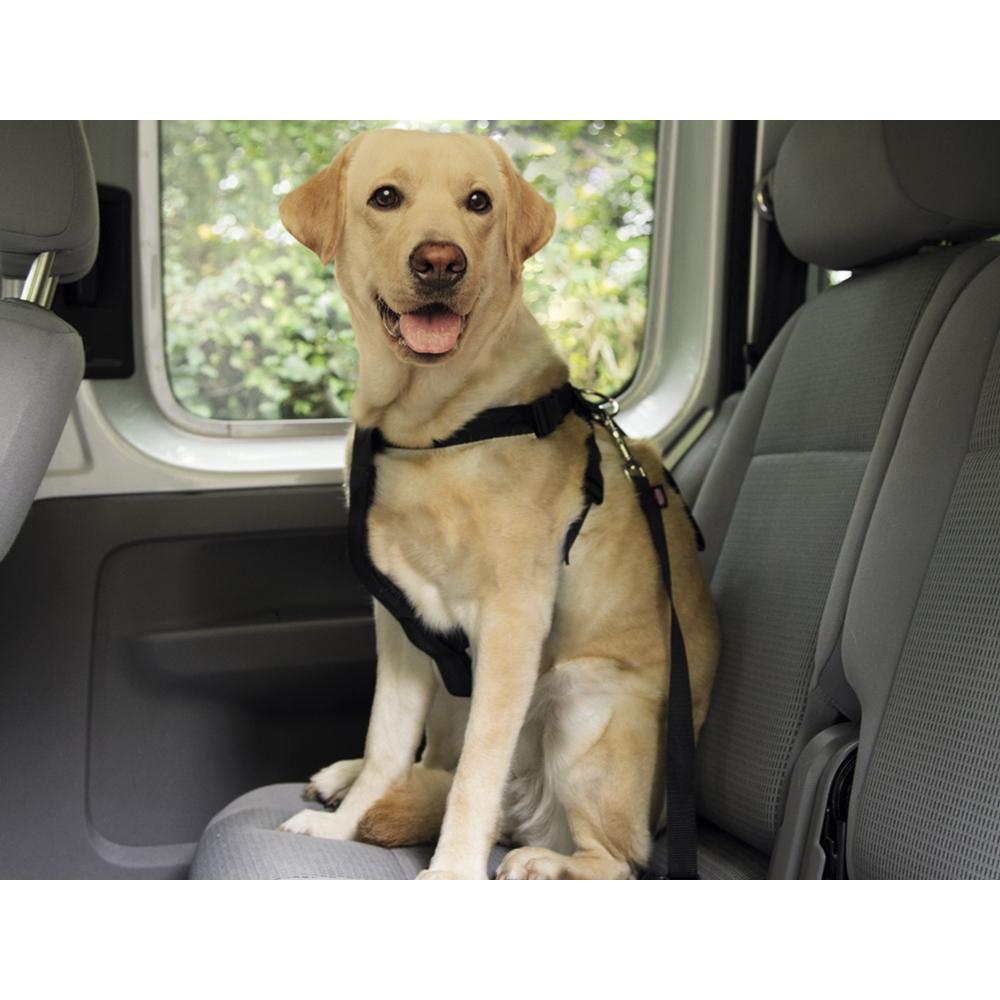 Thumbnail - Nobby Geschirr incl. Sicherheitsgurt (M, Hund, Allgemein), Halsband + Leine