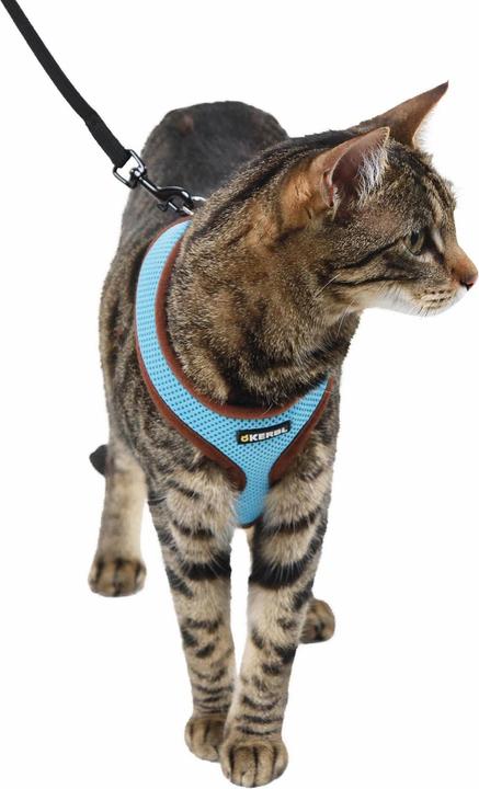 Produktbild Kerbl Katzengeschirr Active (One Size, Katze, Allgemein)