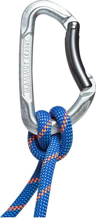 Immagine prodotto Mammut Element Steel Key Lock Karabiner