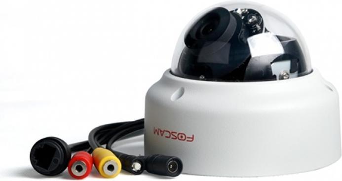 Actual product image Foscam D2EP (1920 x 1080 Pixels)
