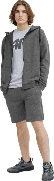 Produktbild 4F M156 Shorts (S)