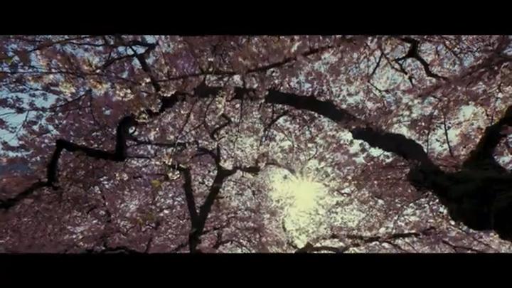 Produktbild Les Chants de l'Aurore (Alcest)