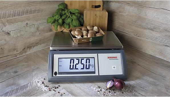 Image du produit Soehnle Balance compacte, plateau de pesée 360 x 240 mm, plage de pesée 0 - 45 kg.