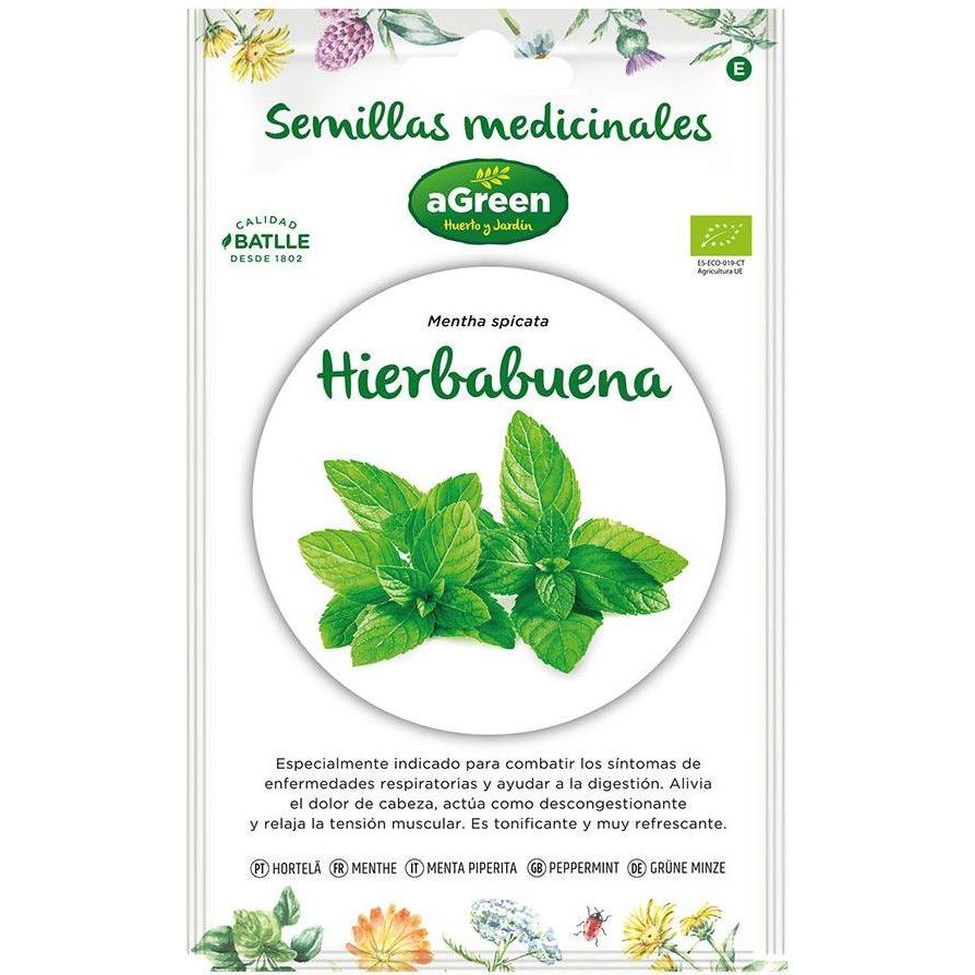 Agreen, Semi, Peppermint seeds "medicinal" eco 857005bolsh (Semi di erbe)
