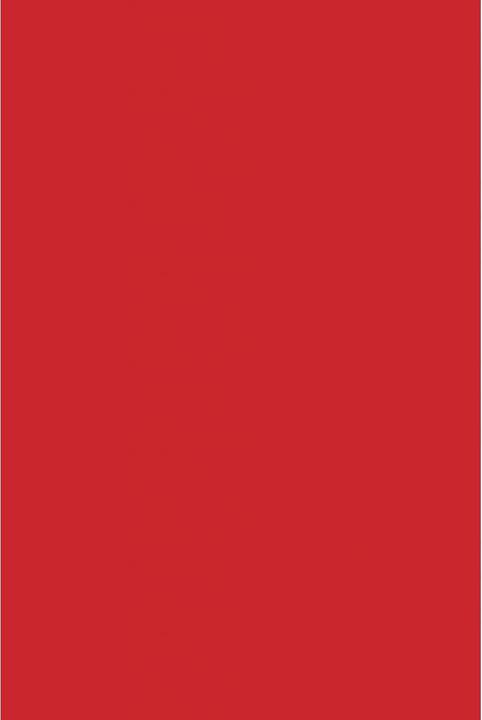 Actual product image Savage Background 2.72 x 11m Red (272 cm, 1100 cm)
