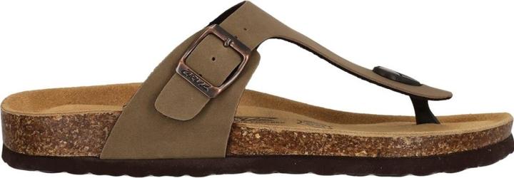 Image du produit Cruz Barhil (38)