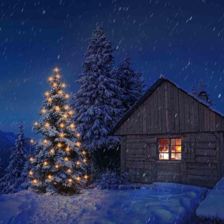 Produktbild Rotpfeil Toplampen (30 m)