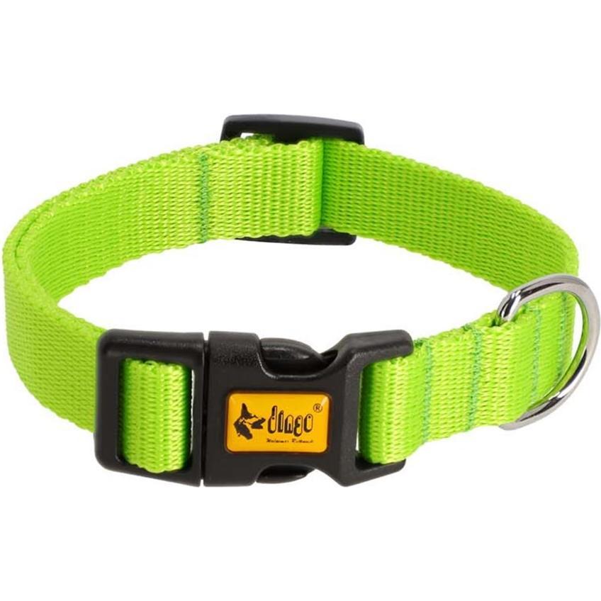 Dingo Energy green - Hundehalsband - 37-61 cm (Hund, Allgemein), Halsband + Leine