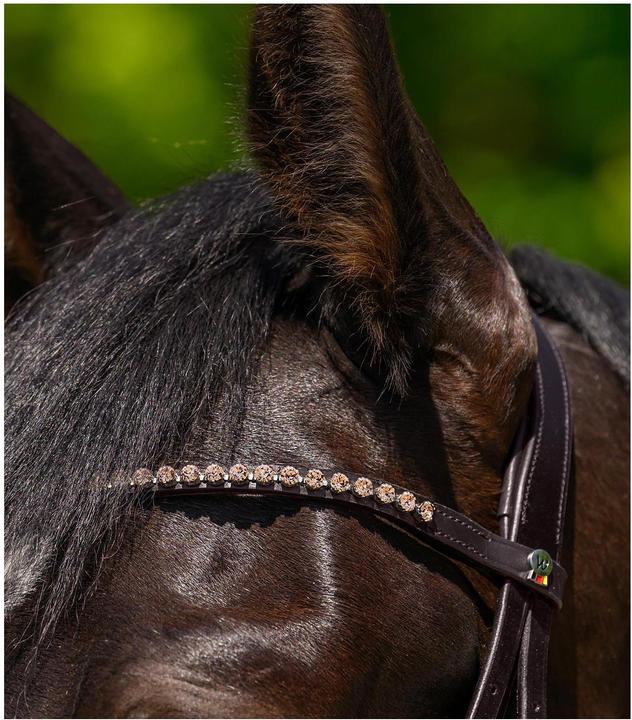 Image du produit Waldhausen Stirnband Glam