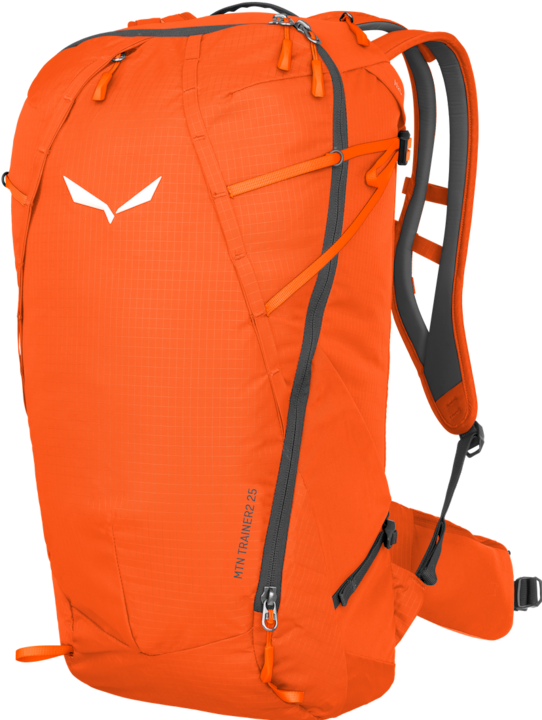 Actual product image Salewa Mountain Trainer L Backpack (25 l)