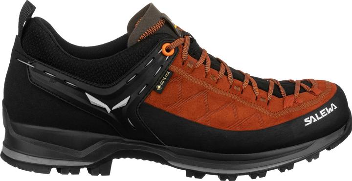 Actual product image Salewa Mountain Trainer 2 GORE-TEX® schuhe (40)