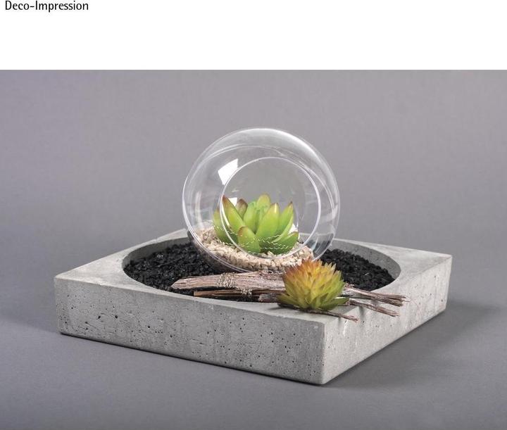 Image du produit Rayher Mini Succulente Echeveria Plastique