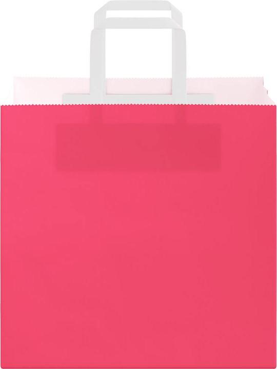 Produktbild vidaXL Papiertragetasche (250x)