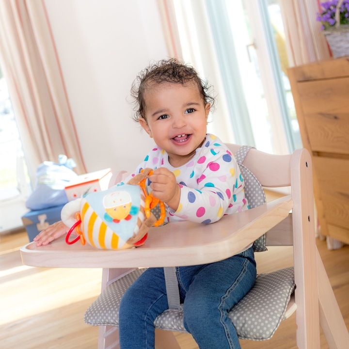 Actual product image Hauck Beta+ (Highchair)
