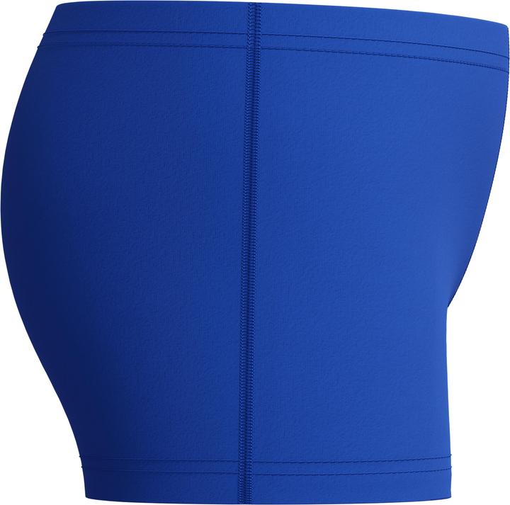 Image du produit Speedo Medley Logo Aquashort (152)
