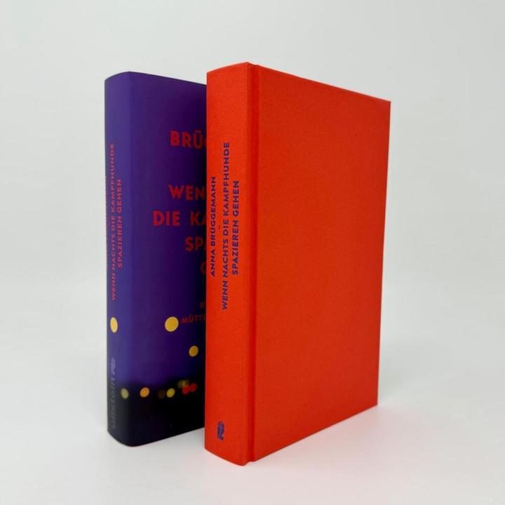 Produktbild Wenn nachts die Kampfhunde spazieren gehen (Deutsch, Anna Brüggemann, 2024)